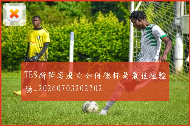 TES新阵容磨合如何德杯是最佳检验场_20260703202702