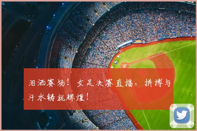 泪洒赛场!女足决赛直播,拼搏与汗水铸就辉煌!