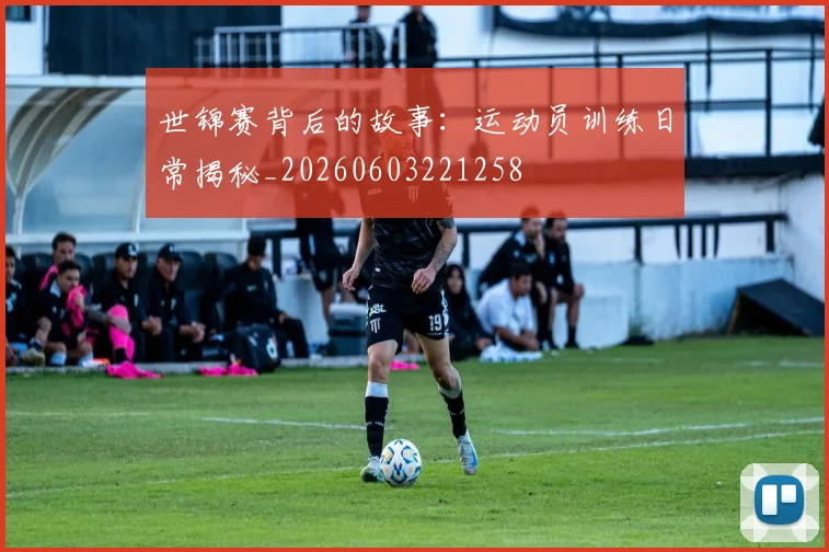 世锦赛背后的故事:运动员训练日常揭秘_20260603221258