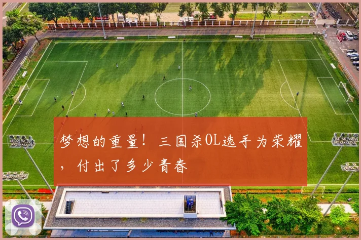 梦想的重量！三国杀OL选手为荣耀，付出了多少青春